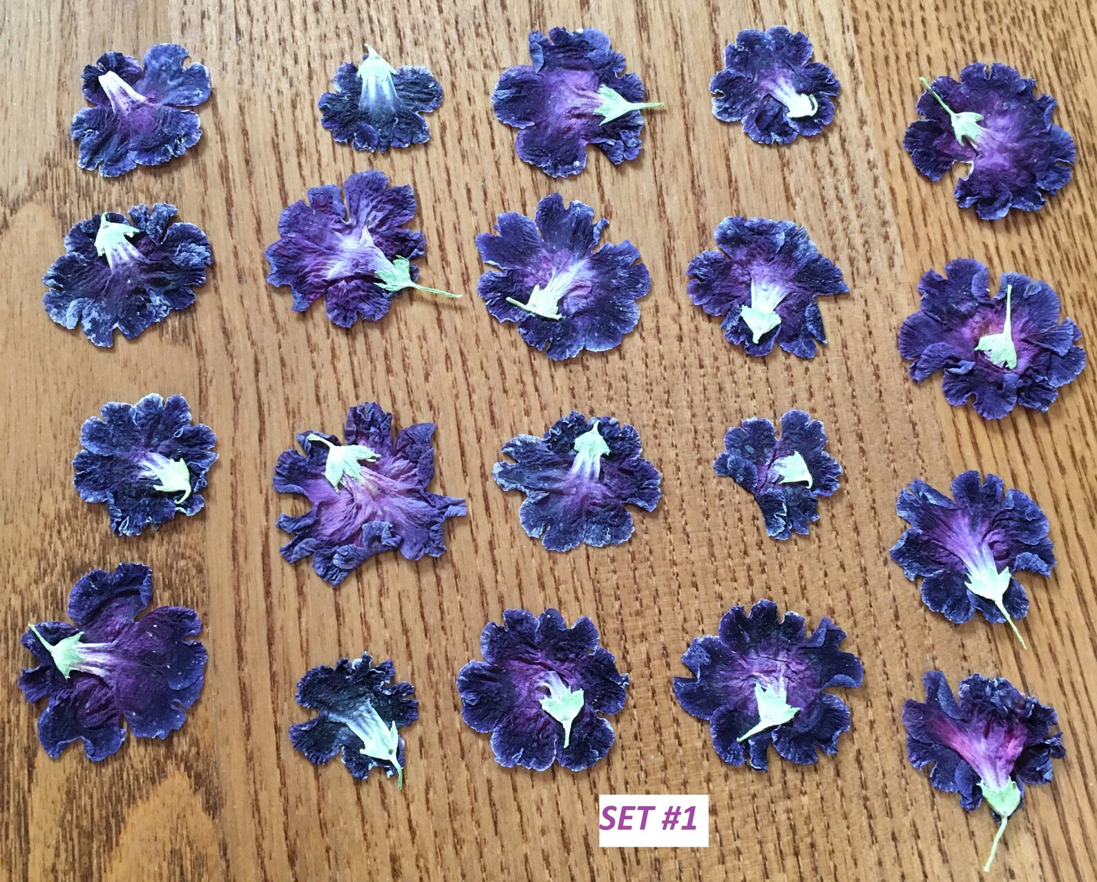 Dried Pressed Petunia Flowers for Crafting Natural purple Etsy