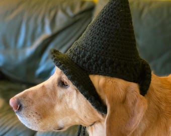 Witch Hat Dog Crochet Pattern