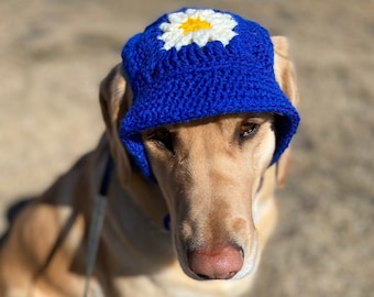Summer Dog Hat Crochet Pattern (Large)
