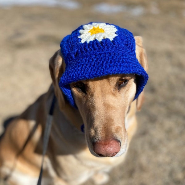 Summer Dog Hat Crochet Pattern (Large)