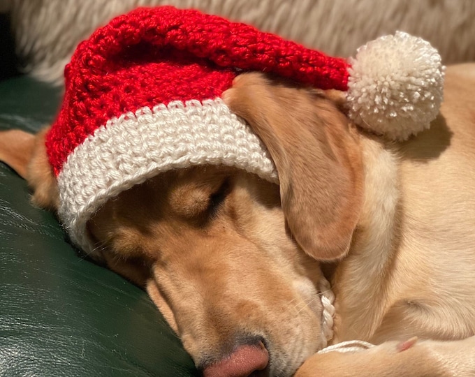 Thanksgiving Turkey Dog Hat . Fancy Dress Dog Hat for Small Dogs