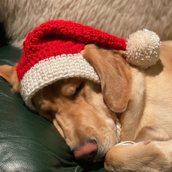 Santa Dog Hat Crochet PATTERN