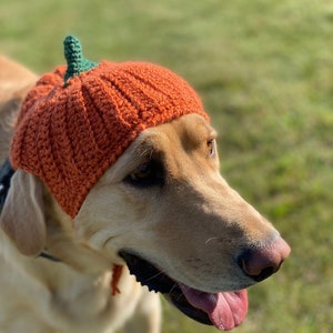 Pumpkin Dog Hat Crochet PATTERN