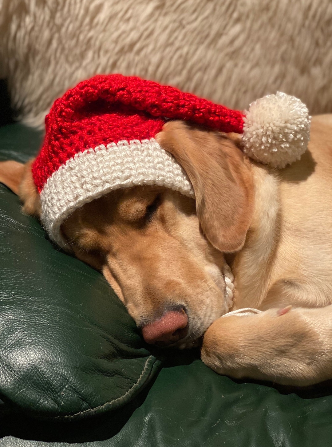 Santa Dog Hat Crochet PATTERN Etsy