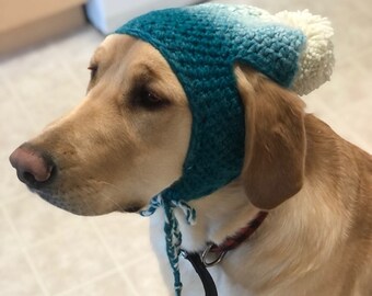 Crochet Dog Hat PATTERN