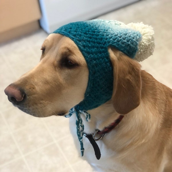 Crochet Dog Hat PATTERN