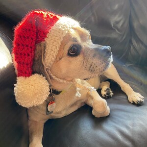 Santa Dog Hat Crochet PATTERN Etsy
