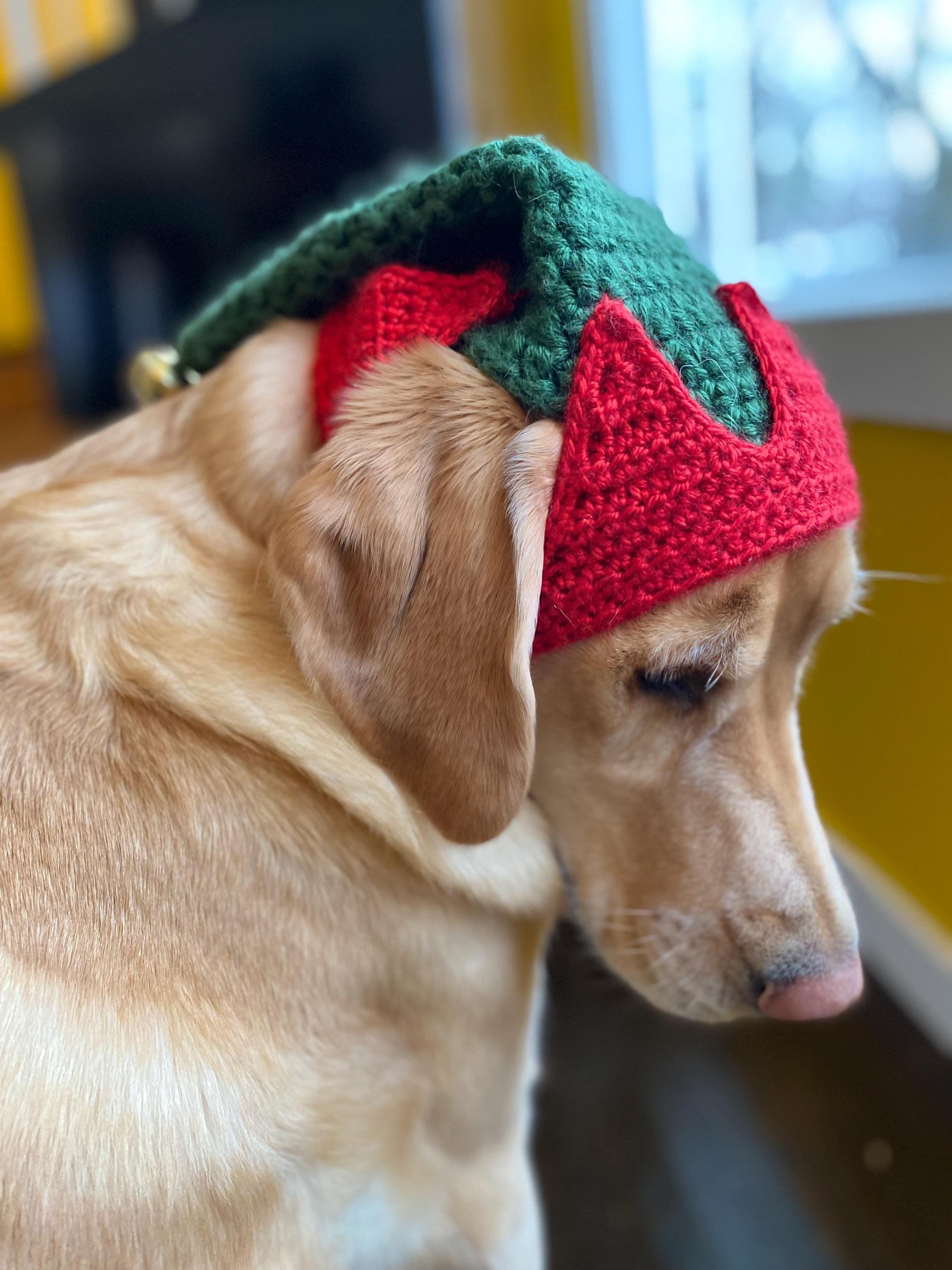 39 Dog Hat Crochet Patterns to Make for Photos, Gifts, and Festive Dress-Up 16 Elf Dog Hat Crochet