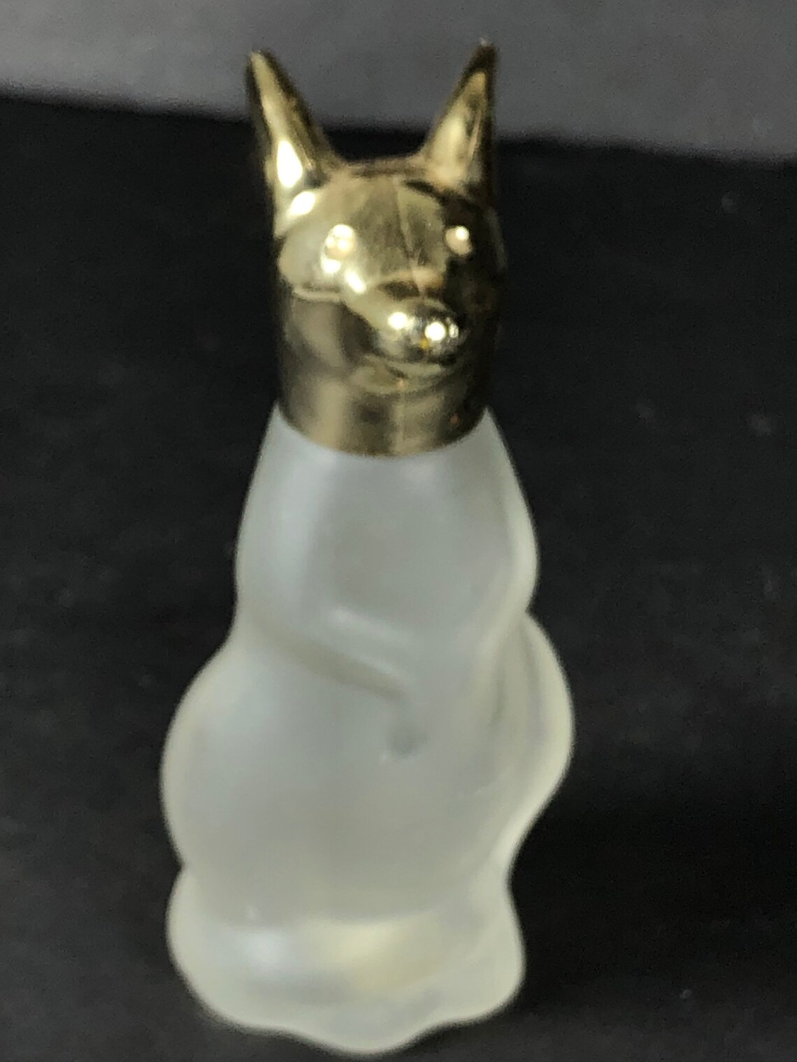 Kangaroo bottle Etsy