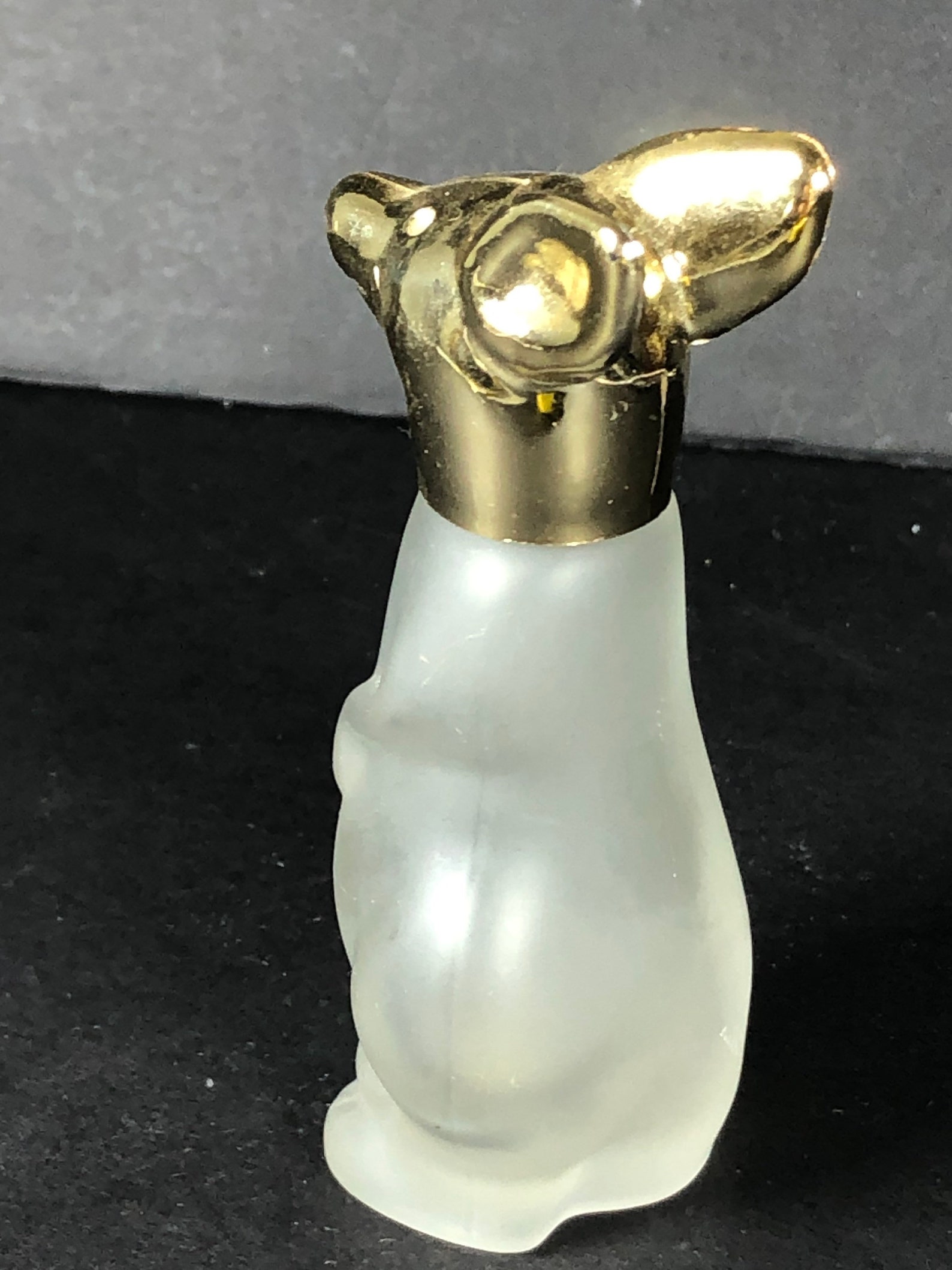 Kangaroo bottle Etsy