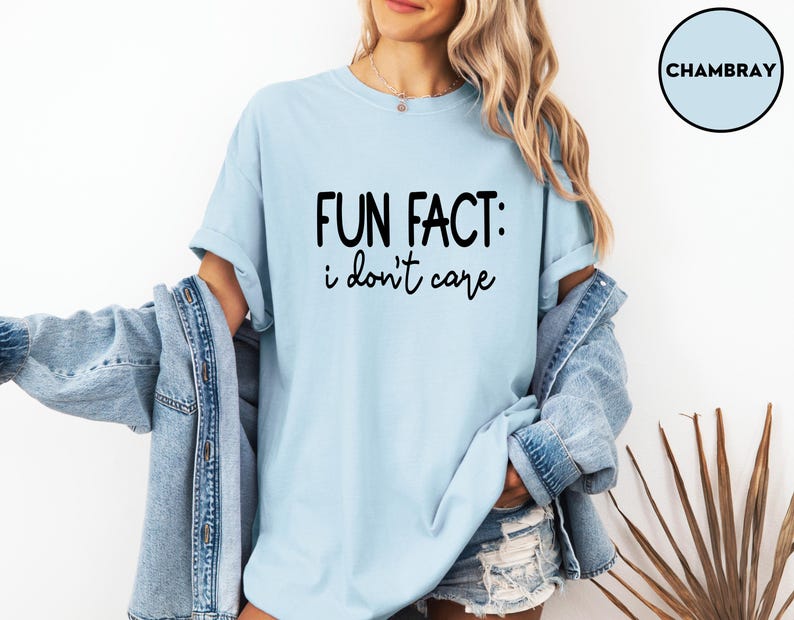 Funny Sarcastic T Shirt Fun Fact I Dont Care Shirt Grey Aesthetic Tee Minimalist Quote Shirt Casual Outfit Gift for Friends Women image 4