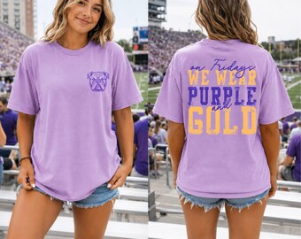 Personalized School Spirit Shirt, Custom Team Colors Tee, Custom Mascot Game Day Shirt, Friday Night Football Tee, Personalized Fan Gift