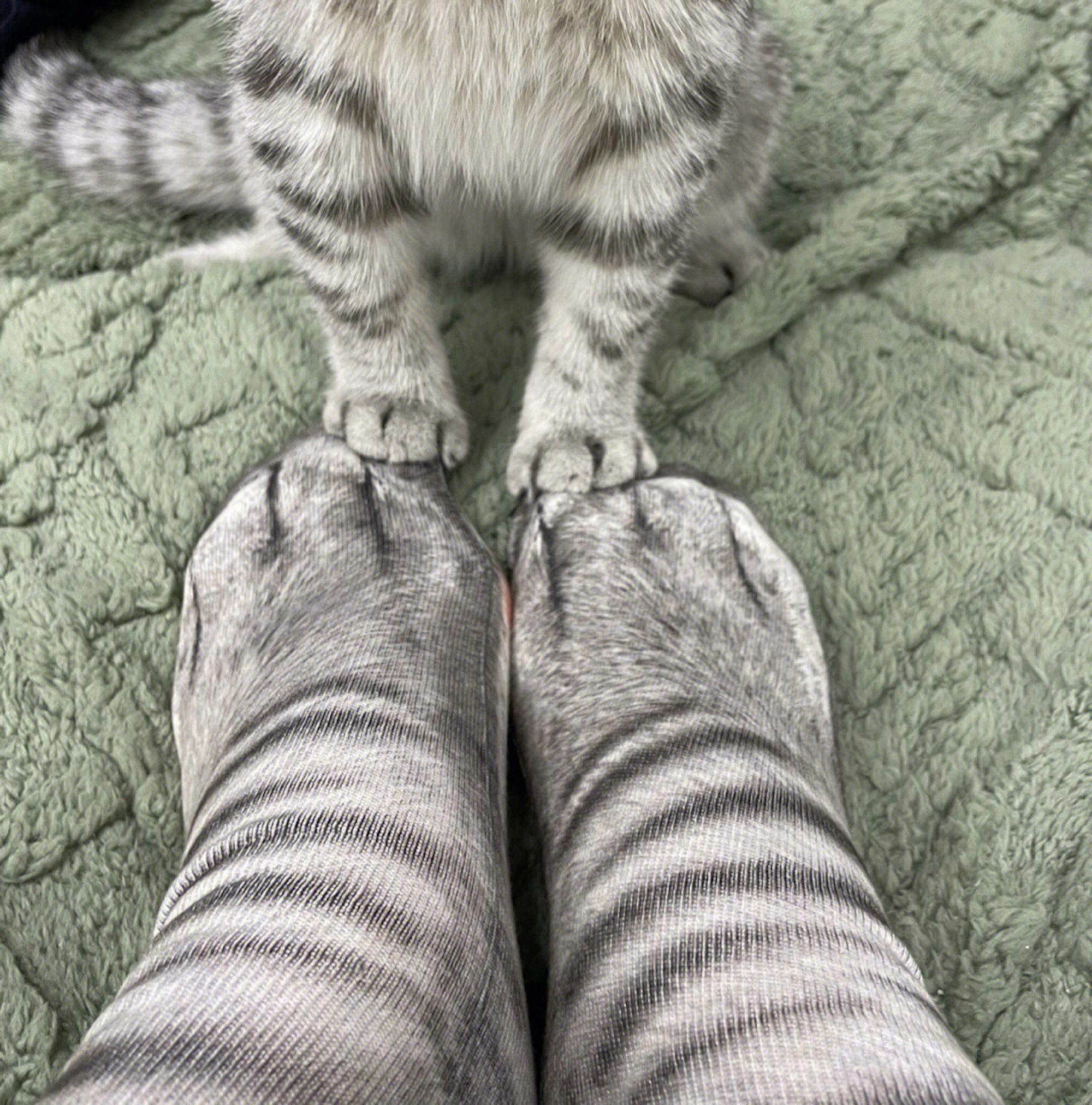 Cat Paw Socks -  Canada