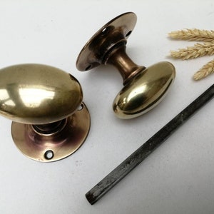 May include: Two vintage brass door knobs with oval handles and circular backplates. One knob is separate, showing the connecting hardware. A metal tool and wheat are also present.