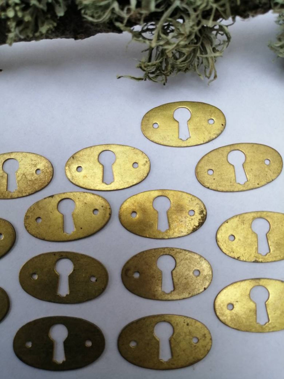 Pequeña placa de escoteo de latón ovalado / cubierta de ojo de | Etsy