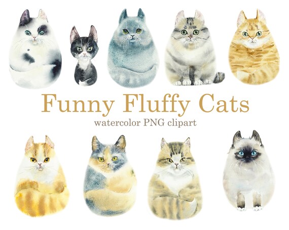 Watercolor Funny Fluffy Cartoon Cats. Digital Cliparts | Etsy