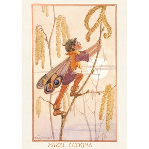 Hazel Catkins - M W Tarrant Postkarte
