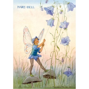Harebell Fee - M W Tarrant Postkarte