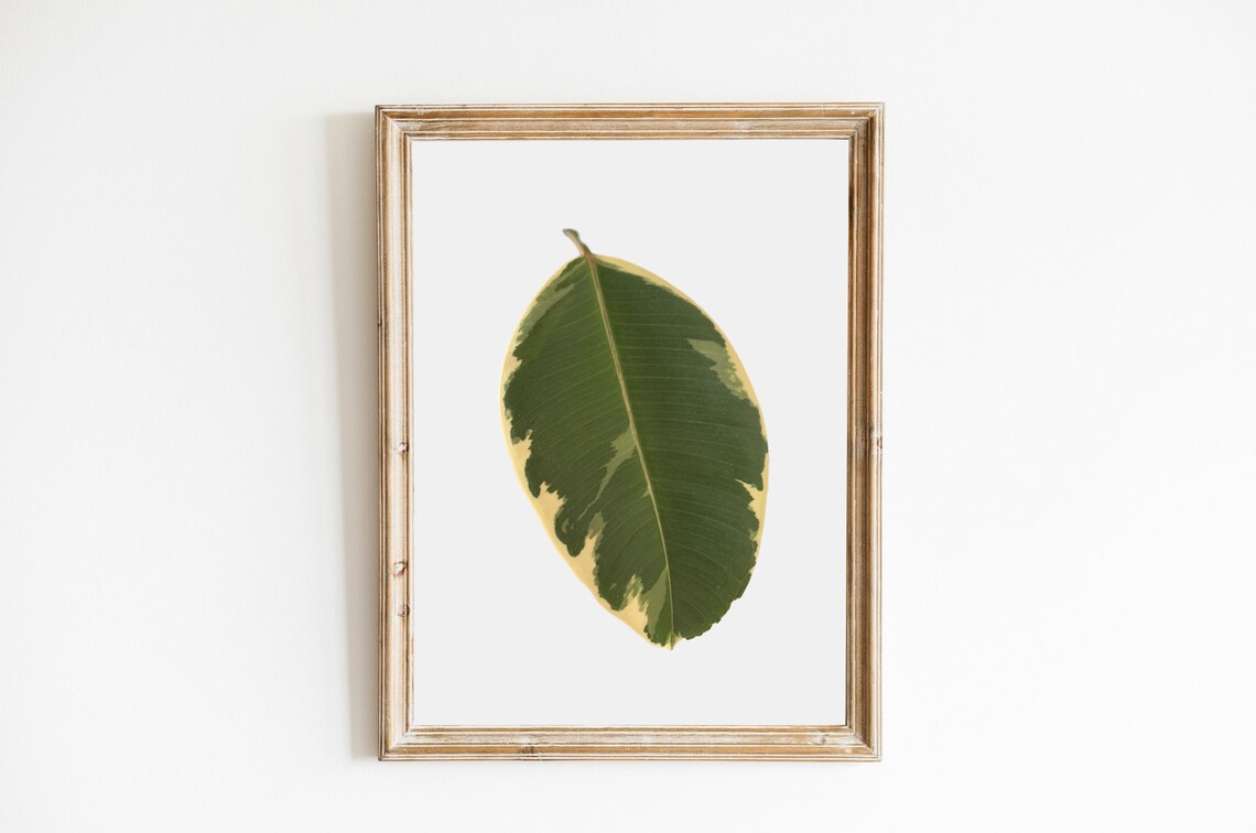 Leaf Wall Art Printable Plants Printable Etsy