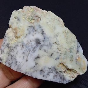 AAA Dendritic Opal Slab: Natural Crystal Display (68x52x6mm)