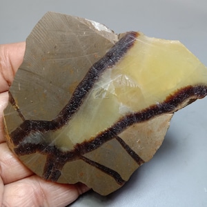 Septarian - Yellow Calcite Slab - Lapidary Rough Slab Specimen -Natural Septarian Fossil HUGE Collector Stone Slab  512.00ct. 67x65x9mm