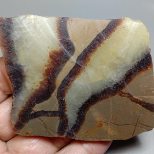 Septarian - Yellow Calcite Slab - Lapidary Rough Slab Specimen -Natural Septarian Fossil Collector Stone Slab 478.00ct. 71x61x8mm