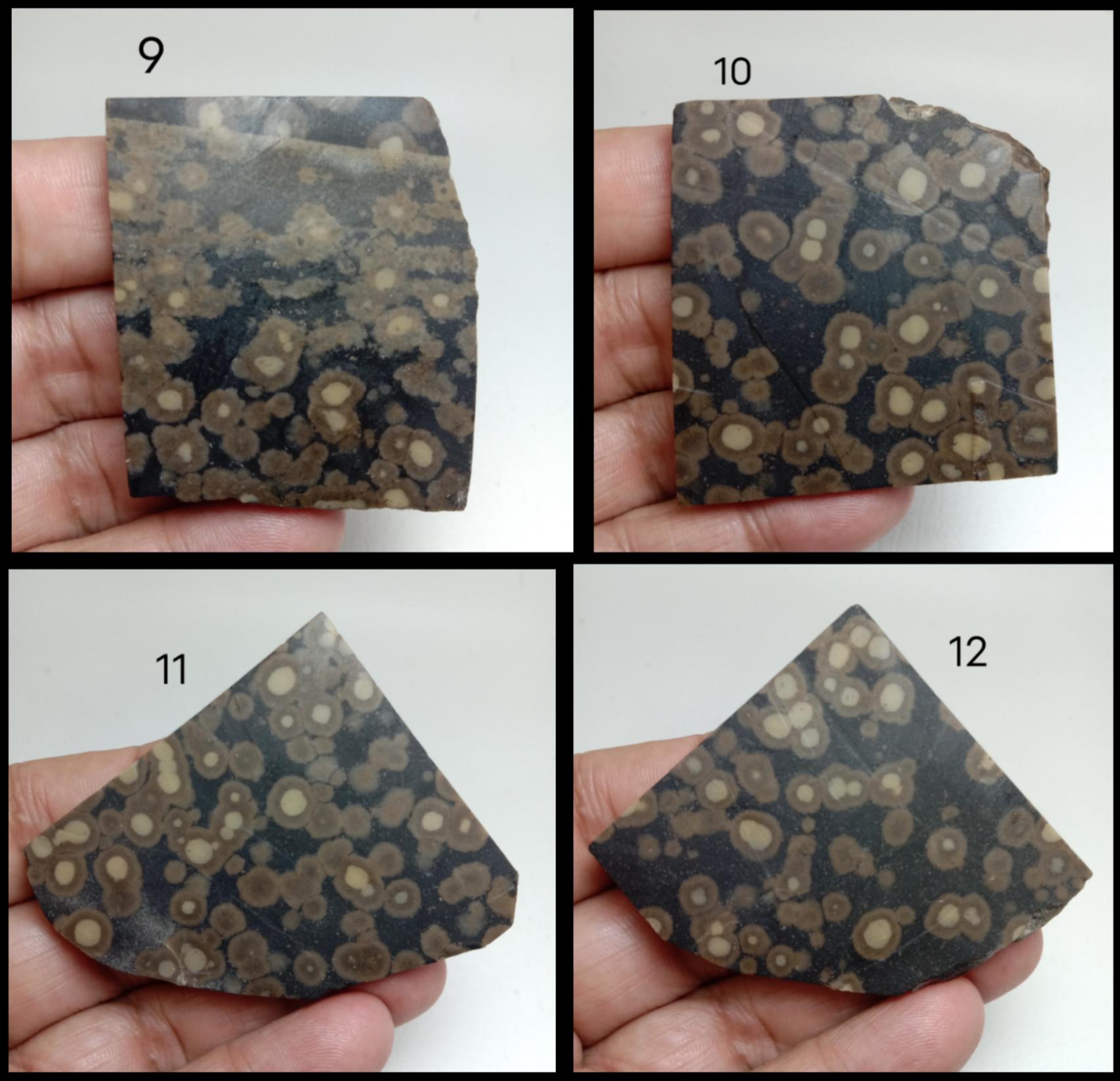 Variotite Tph Natural Scapolite Mica Slab (#1–40) – Variolite Jasper, Oolitic Pattern ...