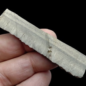Raw Pyrite Slab Specimen: Natural Golden Crystal (142.00ct 69x14x6mm)