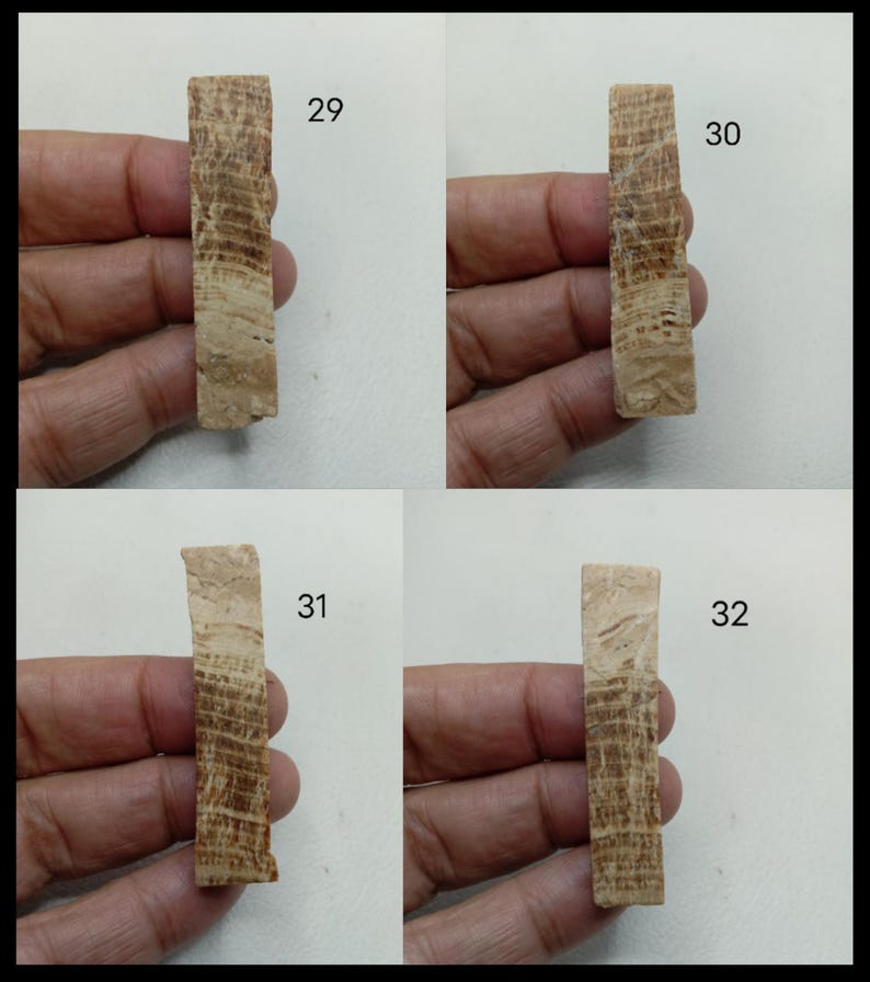 May include: Four rectangular stone slabs with a tan and brown banded pattern, labeled 29, 30, 31, and 32. Each piece displays a natural, layered texture with varying shades of beige and dark brown stripes running horizontally across the surface.