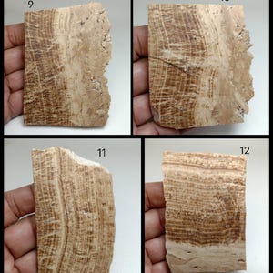 May include: Four rectangular slabs of banded stone labeled 9, 10, 11, and 12. Each piece features a natural pattern of alternating light beige and dark brown horizontal layers with a rough, uneven edge on one side of the stone surface.