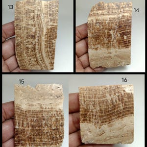 May include: Four rectangular slabs of banded brown and beige stone labeled 13, 14, 15, and 16. Each piece displays natural horizontal or vertical mineral striations with varying shades of tan, cream, and dark brown in a layered pattern.