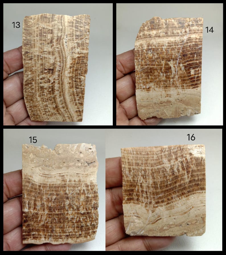 May include: Four rectangular slabs of banded brown and beige stone labeled 13, 14, 15, and 16. Each piece displays natural horizontal or vertical mineral striations with varying shades of tan, cream, and dark brown in a layered pattern.