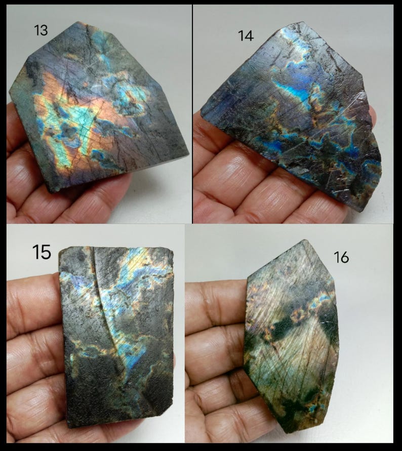 May include: Four pieces of raw labradorite gemstone, each with unique iridescent flashes of blue, green, and gold. The stones are held in a hand, showcasing their natural, rough-cut edges and varying shapes. The image is well-lit, highlighting the play of light on the mineral's surface.