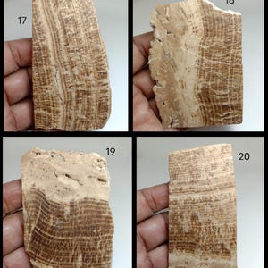 May include: Four rectangular stone slabs labeled 17, 18, 19, and 20. Each slab features a distinct pattern of horizontal and vertical brown and beige bands, with varying textures and natural mineral formations visible across the surfaces.