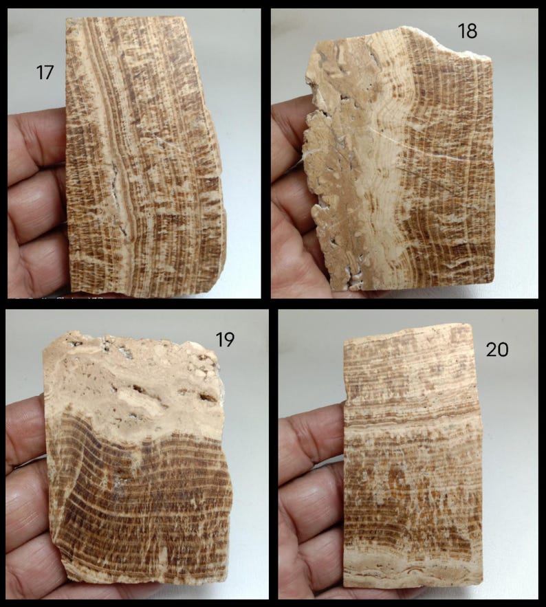 May include: Four rectangular stone slabs labeled 17, 18, 19, and 20. Each slab features a distinct pattern of horizontal and vertical brown and beige bands, with varying textures and natural mineral formations visible across the surfaces.