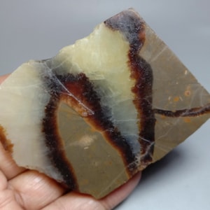 Septarian - Yellow Calcite Slab - Lapidary Rough Slab Specimen -Natural Septarian Fossil Collector Stone Slab  493.00ct. 75x60x9mm
