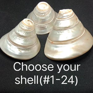 Puede incluir: Tres conchas cónicas de nácar iridiscente con superficies lisas en espiral y tonos blancos perlados. El texto "Choose your shell(#1-24)" está impreso en blanco en la parte inferior de la imagen, indicando una selección de artículos.