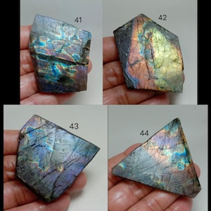 May include: Four pieces of labradorite gemstone, each with unique iridescent colors. The stones display shades of blue, purple, and gold, with visible textures and natural patterns. Each stone is numbered, with the numbers 41, 42, 43, and 44 visible.