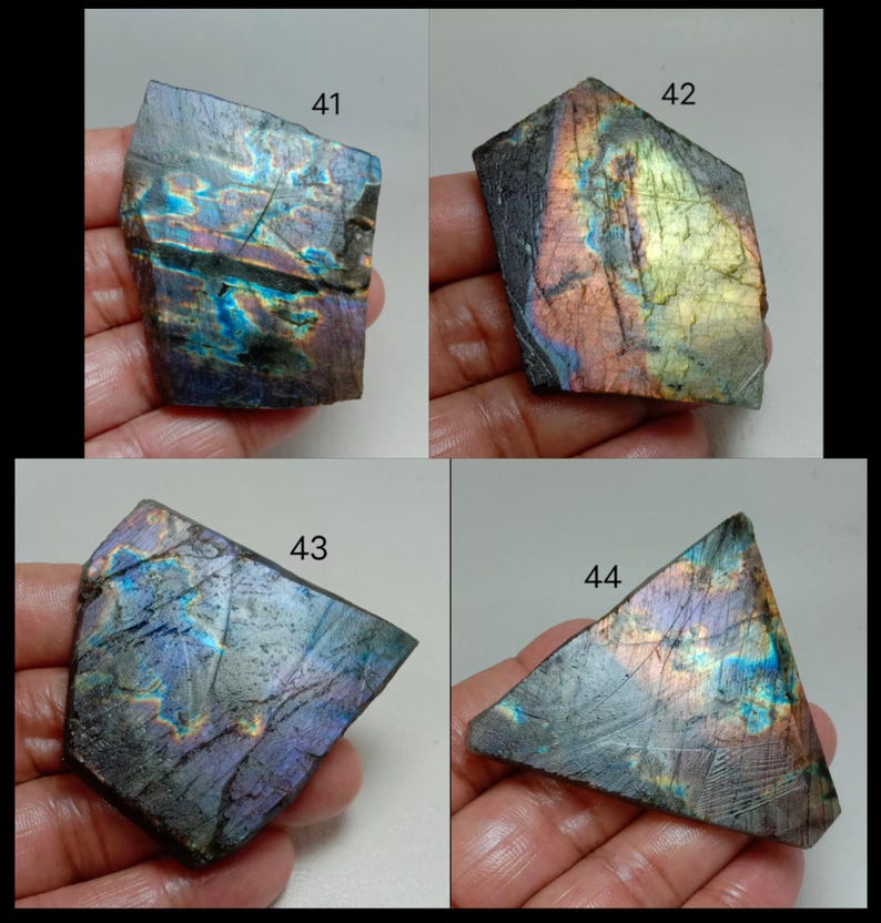May include: Four pieces of labradorite gemstone, each with unique iridescent colors. The stones display shades of blue, purple, and gold, with visible textures and natural patterns. Each stone is numbered, with the numbers 41, 42, 43, and 44 visible.