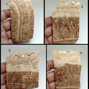 May include: Four rectangular slabs of banded stone featuring alternating layers of tan, beige, and dark brown. Each piece displays a distinct natural grain pattern with a rough, textured top edge and smooth, flat surfaces labeled with numbers 1 through 4.