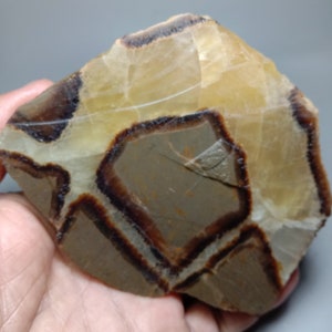 Septarian - Yellow Calcite Slab - Lapidary Rough Slab Specimen -Natural Septarian Fossil HUGE Collector Stone Slab  1600.00ct. 105x80x15mm