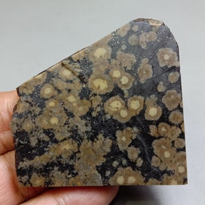 Scapolite Mica Slab: Variolite Jasper Lapidary Stone (58x50x6mm)