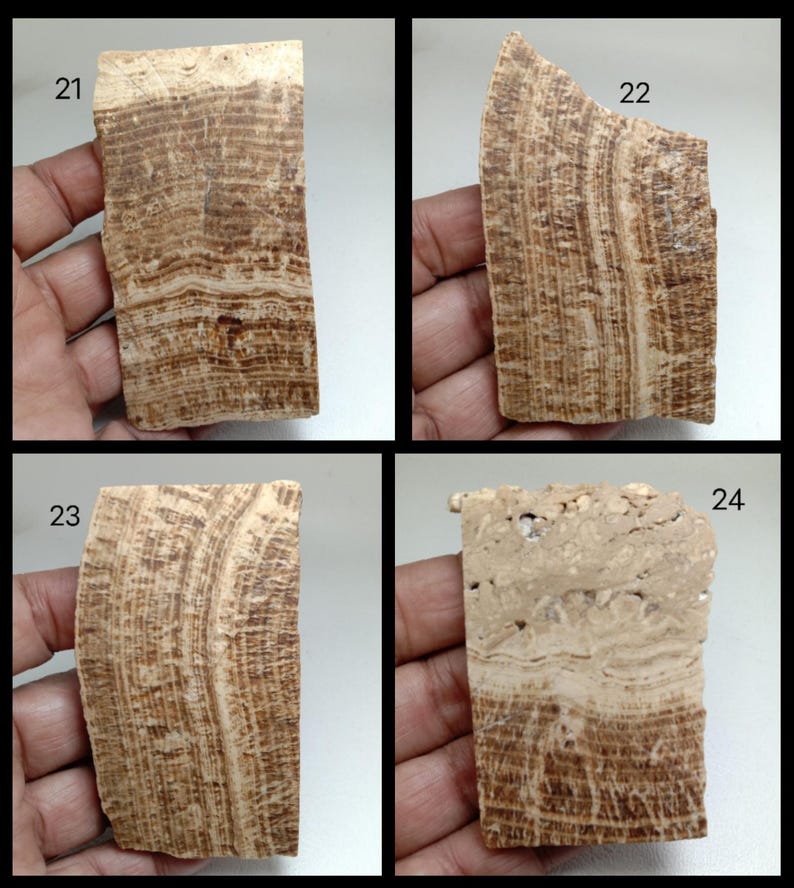 May include: Four rectangular stone slabs labeled 21, 22, 23, and 24. Each slab features a distinct banded pattern in shades of tan, beige, and dark brown. The surfaces display natural mineral layers with varying textures and organic lines.