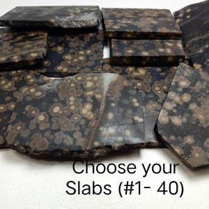Puede incluir: Una colección de losas de piedra planas, rectangulares y de formas irregulares con una base de color negro oscuro y manchas circulares dispersas de color tostado y beige. El texto "Choose your Slabs (#1- 40)" está impreso en negro en la parte inferior.