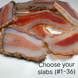 Puede incluir: Una colección de losas de ágata pulida con bandas concéntricas de colores naranja, rojo, blanco y marrón translúcido con bordes naturales, rugosos y texturizados. El texto "Choose your slabs (#1-36)" está impreso en negro en la parte inferior derecha.