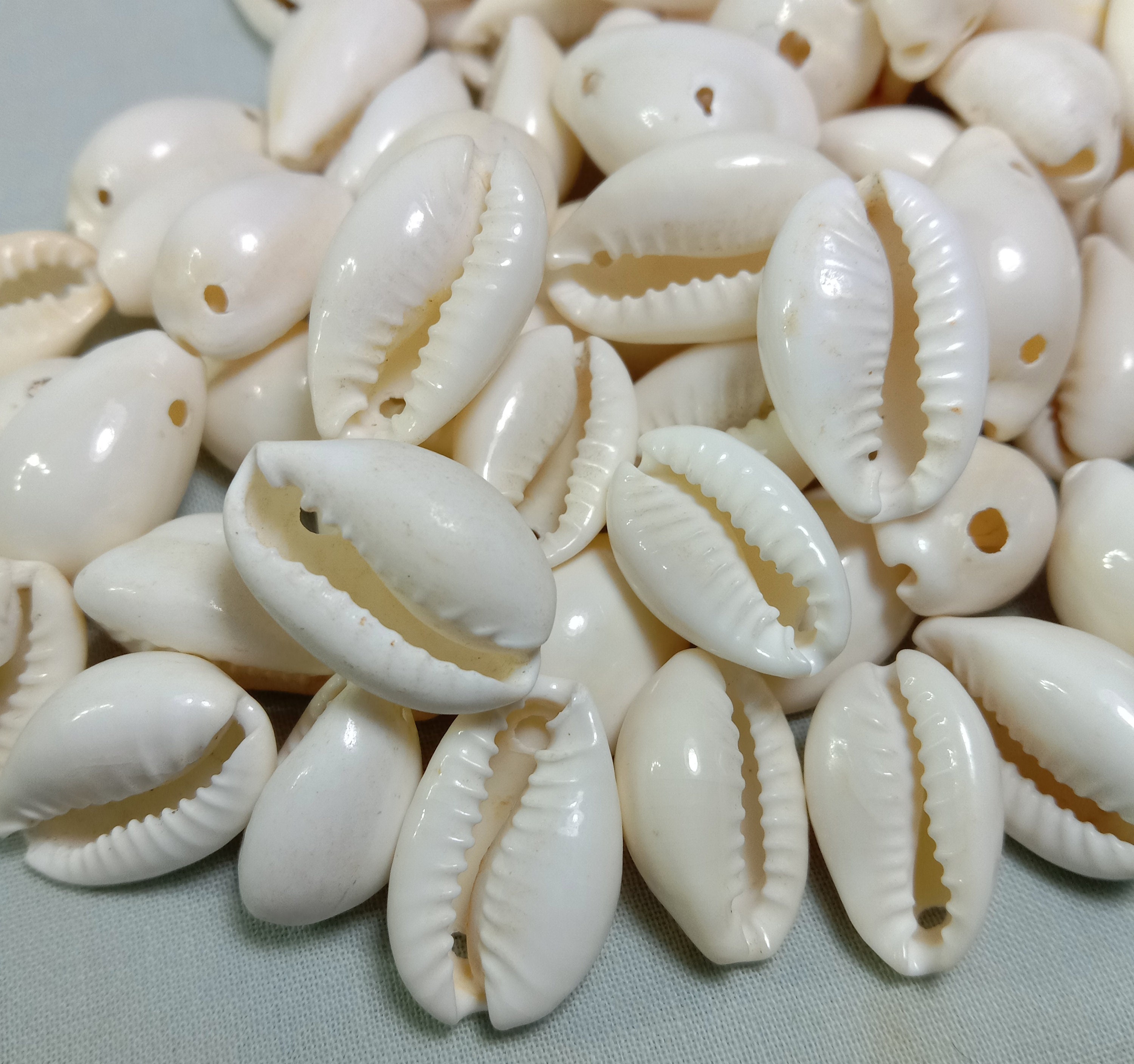 100 Perles En Coquillage Cauri Naturel - 16-18 Mm Pour Bijoux DIY, Décoration Plage, Colliers, Bracelets, Boucles D'oreilles - 10