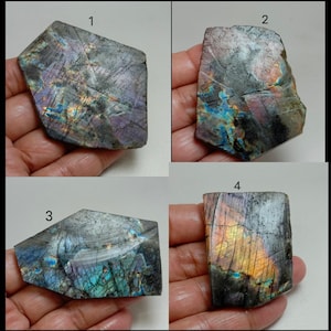 May include: Four pieces of labradorite gemstone, each with a unique shape and iridescent play of color. The stones display a range of colors including blues, purples, and golds, with a textured surface. The gemstones are held in a hand.
