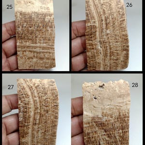 May include: Four rectangular stone slabs labeled 25, 26, 27, and 28. Each slab features a natural banded pattern in shades of tan, beige, and dark brown. The surfaces show distinct mineral layers with varying textures and earthy color tones.