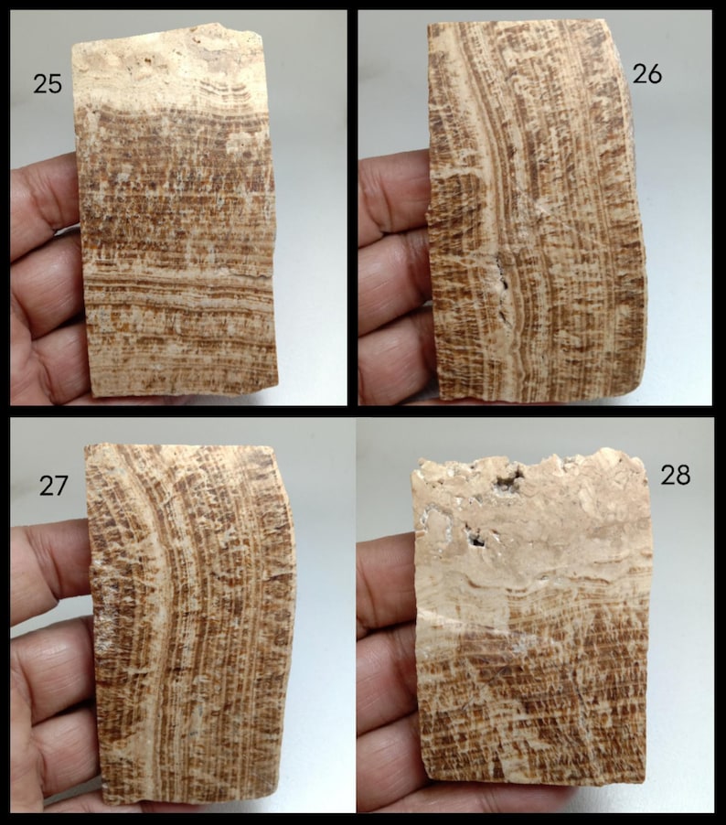 May include: Four rectangular stone slabs labeled 25, 26, 27, and 28. Each slab features a natural banded pattern in shades of tan, beige, and dark brown. The surfaces show distinct mineral layers with varying textures and earthy color tones.