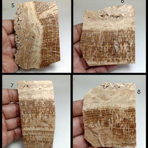 May include: Four rectangular stone slabs labeled 5, 6, 7, and 8, each featuring distinct horizontal and vertical banding in shades of tan, beige, and dark brown. These mineral specimens display natural layered textures and rough, uneven edges.